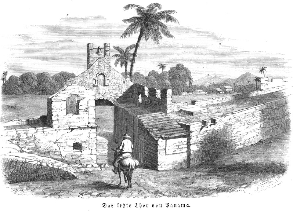 Die Gartenlaube (1857) b 116
