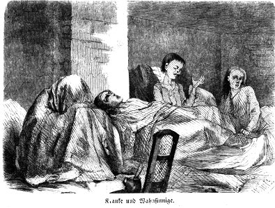 Die Gartenlaube (1857) b 465 1