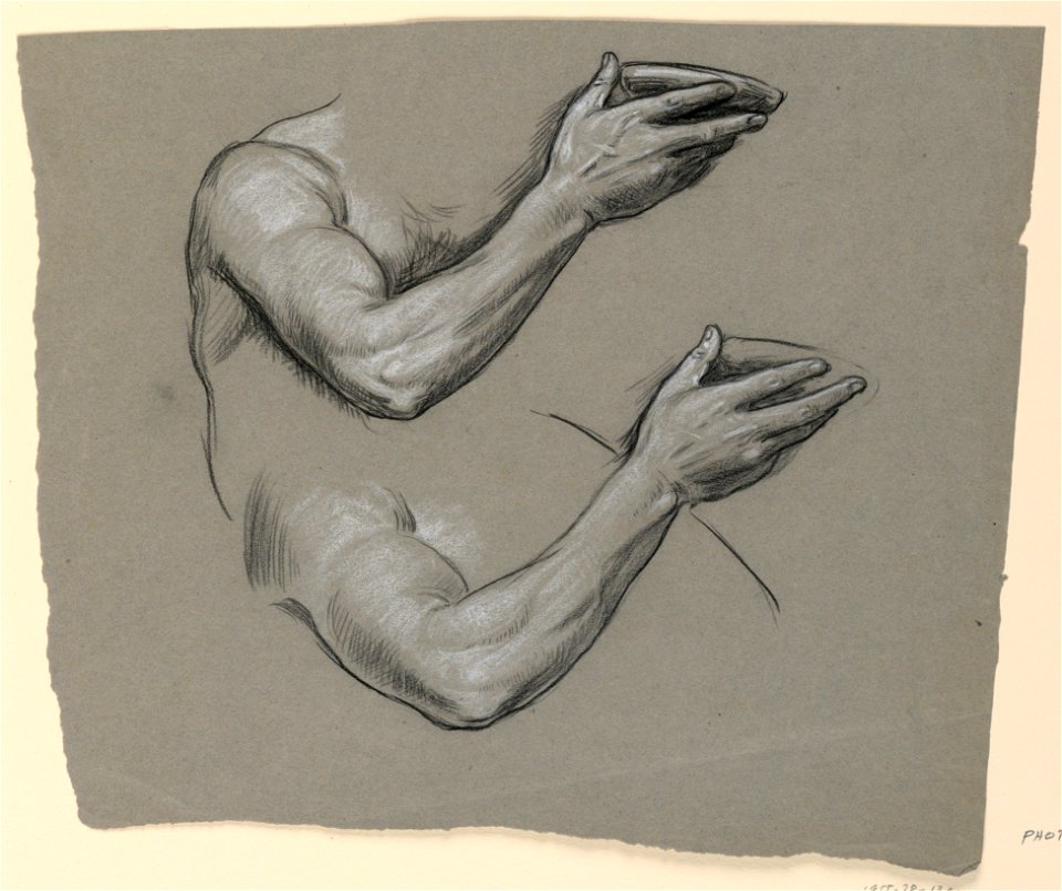 Drawing, Details of two male arms, ca. 1885 (CH 18404373)