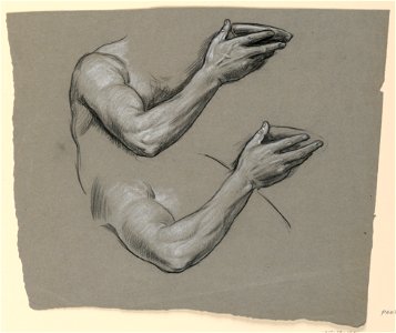 Drawing, Details of two male arms, ca. 1885 (CH 18404373)