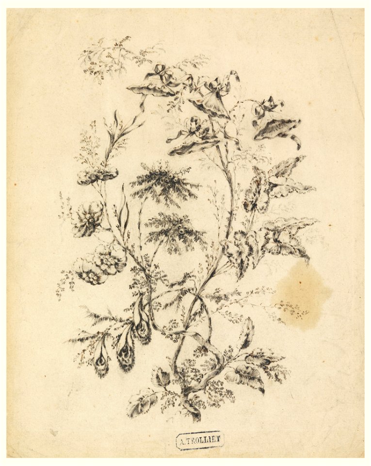 Drawing, Bough of a fantastic tree, 1775–1800 (CH 18350119)