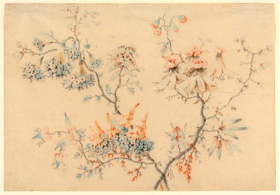 Drawing, Flowering Branches, 1775–1800 (CH 18172023-2)
