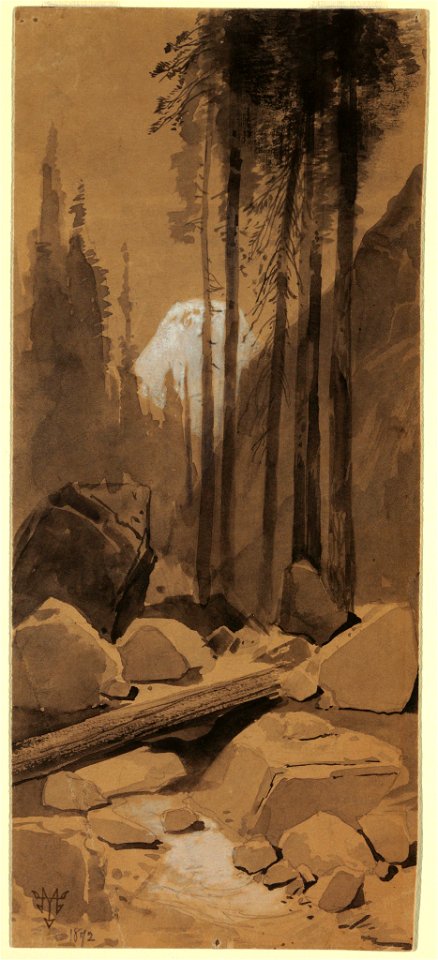Drawing, In the Yosemite Valley, 1872 (CH 18189507)