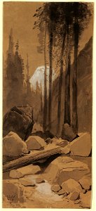 Drawing, In the Yosemite Valley, 1872 (CH 18189507)