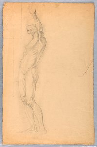 Drawing, Anatomical Study of Male, ca. 1850 (CH 18566223)