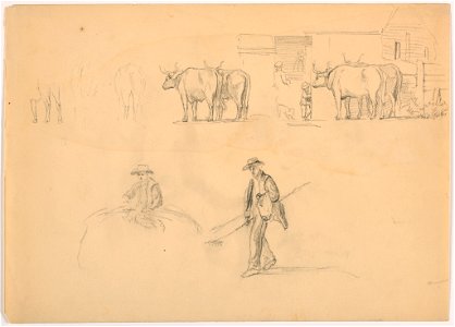 Drawing, Barnyard; Figures and Oxen, 1878 (CH 18566525)