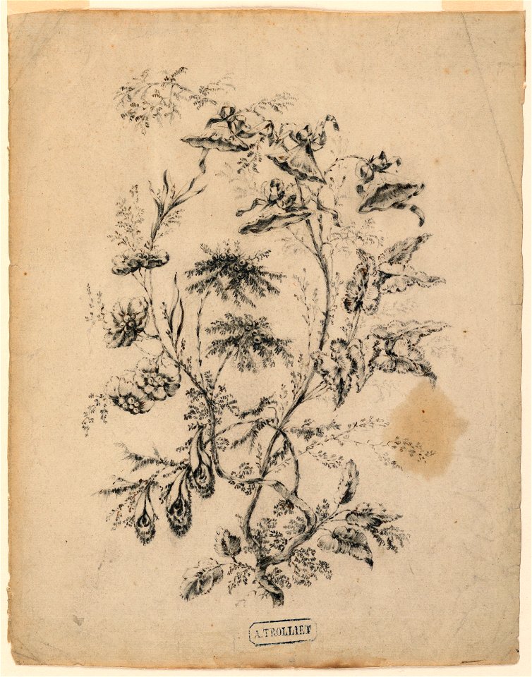 Drawing, Bough of a fantastic tree, 1775–1800 (CH 18350119-2)