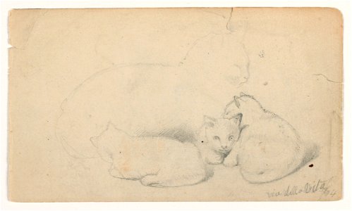 Drawing, Cat and Three Kittens; Verso- Arab Man Seated Receiving a Man, Possibly after David Roberts, 1844 (CH 18369901)
