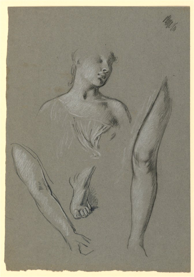 Drawing, details of figure studies, ca. 1885 (CH 18404497)