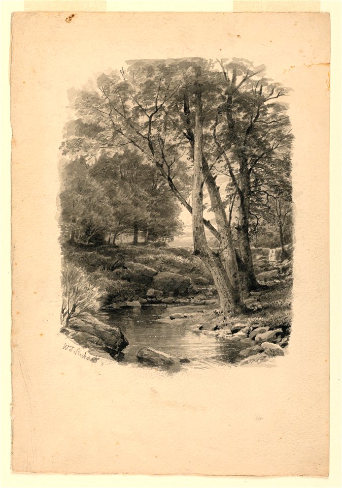 Drawing, Pool in the Woods, 1874 (CH 18396319)