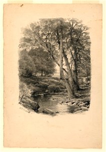 Drawing, Pool in the Woods, 1874 (CH 18396319)