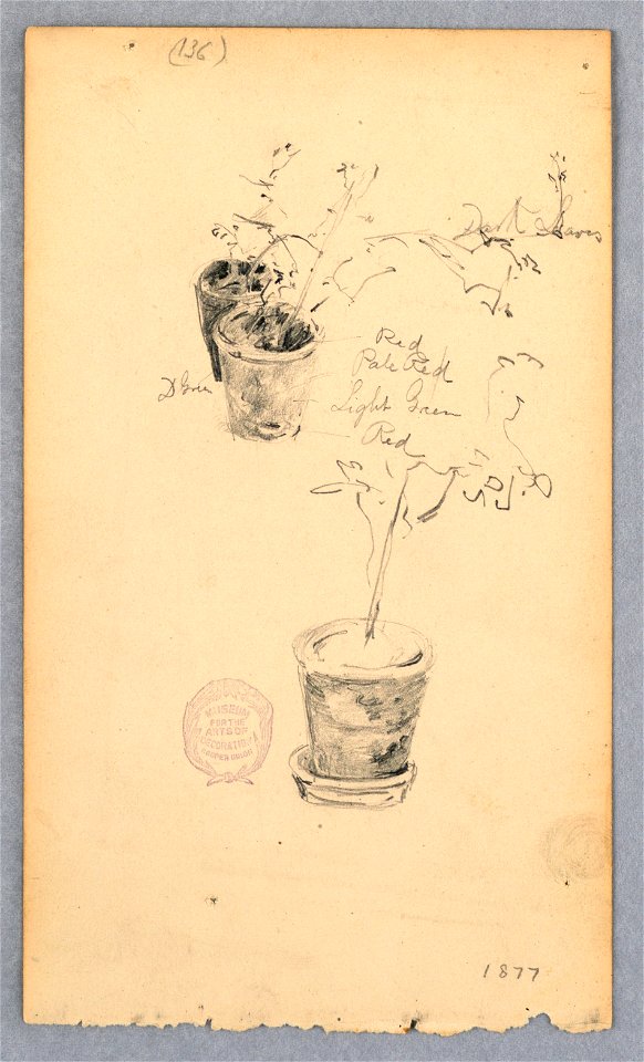 Drawing, Flower pots, 1877 (CH 18139327)