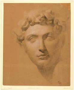 Drawing, Male Head From a Plaster, 1840 (CH 18566211)
