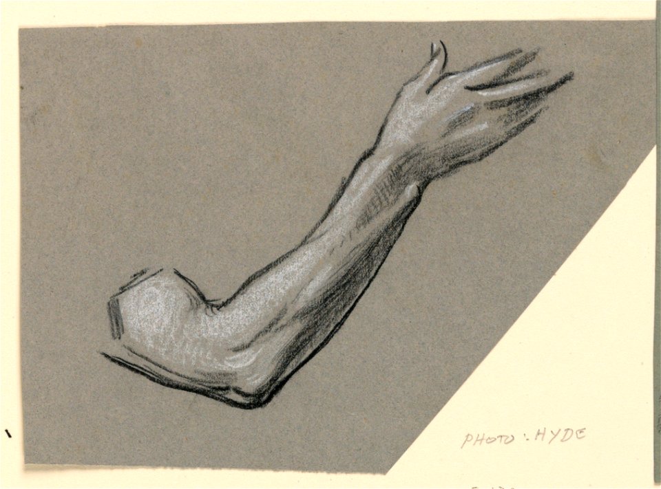 Drawing, detail of an arm, ca. 1885 (CH 18404369)