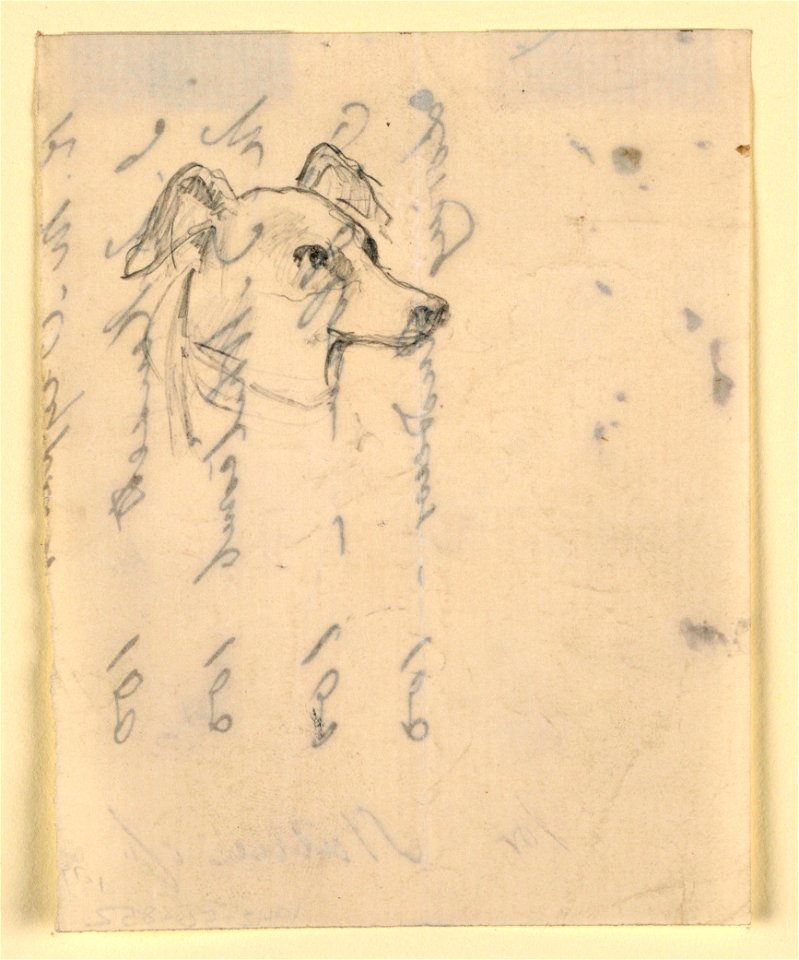 Drawing, Dog's Head, probably Milo (a Pointer), ca. 1862 (CH 18369899)