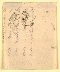 Drawing, Dog's Head, probably Milo (a Pointer), ca. 1862 (CH 18369899)