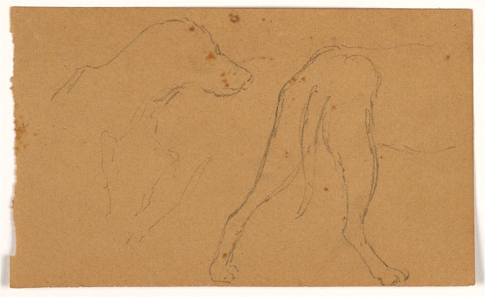 Drawing, Milo (a Pointer), Head and Body, ca. 1862 (CH 18369997)