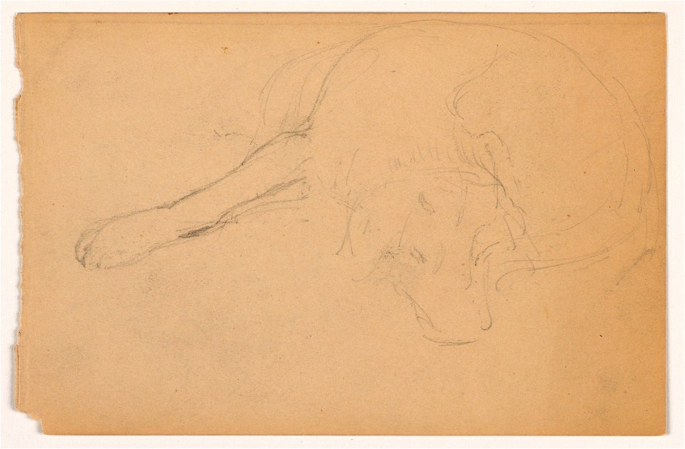 Drawing, Miol (a Pointer), ca. 1862 (CH 18369999)