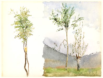 Drawing, Landscape Sketches, ca. 1900 (CH 18569849)