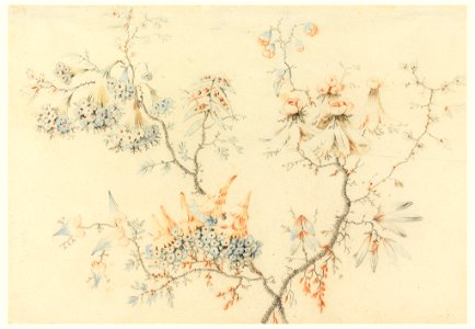 Drawing, Flowering Branches, 1775–1800 (CH 18172023)