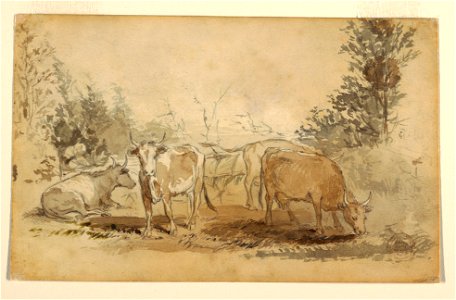 Drawing, Four Cows Grazing in a Pasture, ca. 1855–60 (CH 18175171). Free illustration for personal and commercial use.
