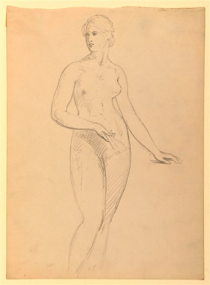 Drawing, Mrs. Henry Schieffelin, S, 1881 (CH 18370067)