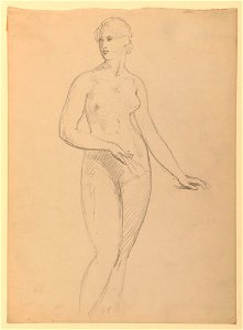 Drawing, Mrs. Henry Schieffelin, S, 1881 (CH 18370067)