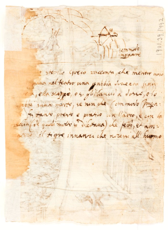 Drawing, Sketchbook Page- Tiger Killed by Emperor Commodus in Amphitheater, ca. 1590 (CH 18109667-2)
