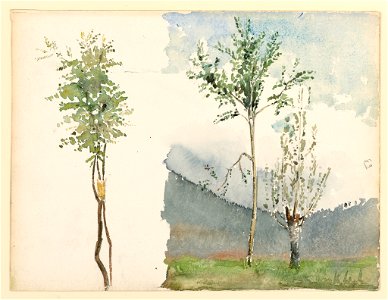 Drawing, Landscape Sketches, ca. 1900 (CH 18569849-2)