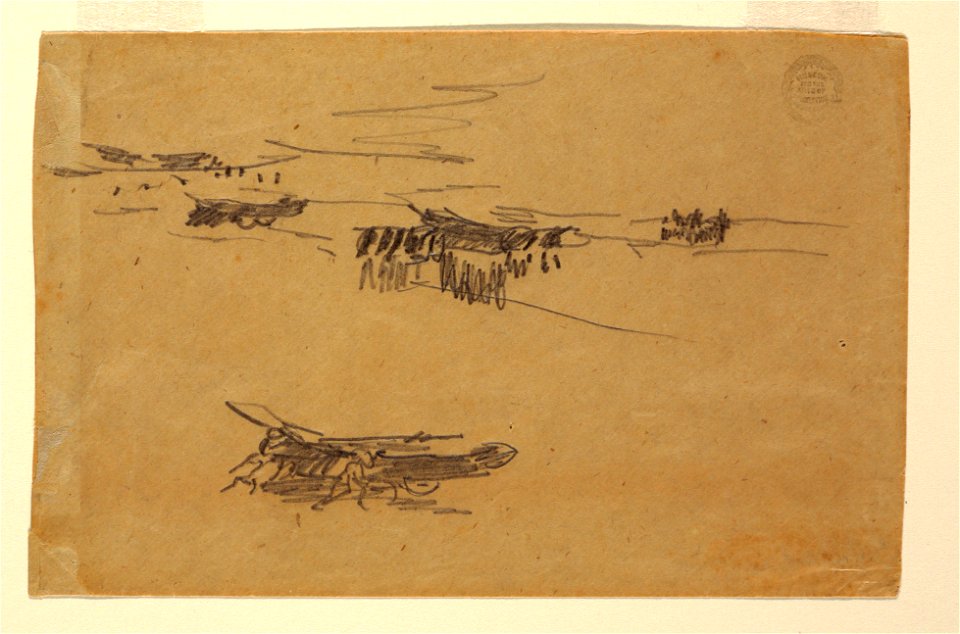 Drawing, Sketches of Dories on Carriages, 1881 (CH 18174639)