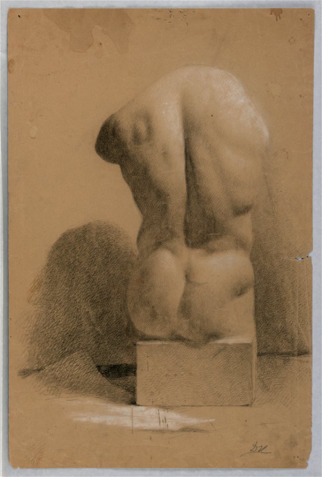Drawing, Male Torso From a Plaster, 1840 (CH 18566217)