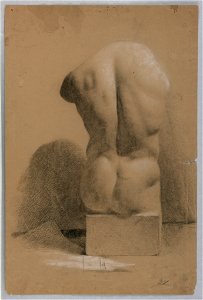 Drawing, Male Torso From a Plaster, 1840 (CH 18566217)