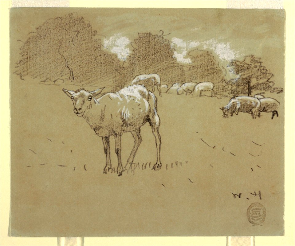 Drawing, Sheep Grazing in a Field, ca. 1875–78 (CH 18175177)