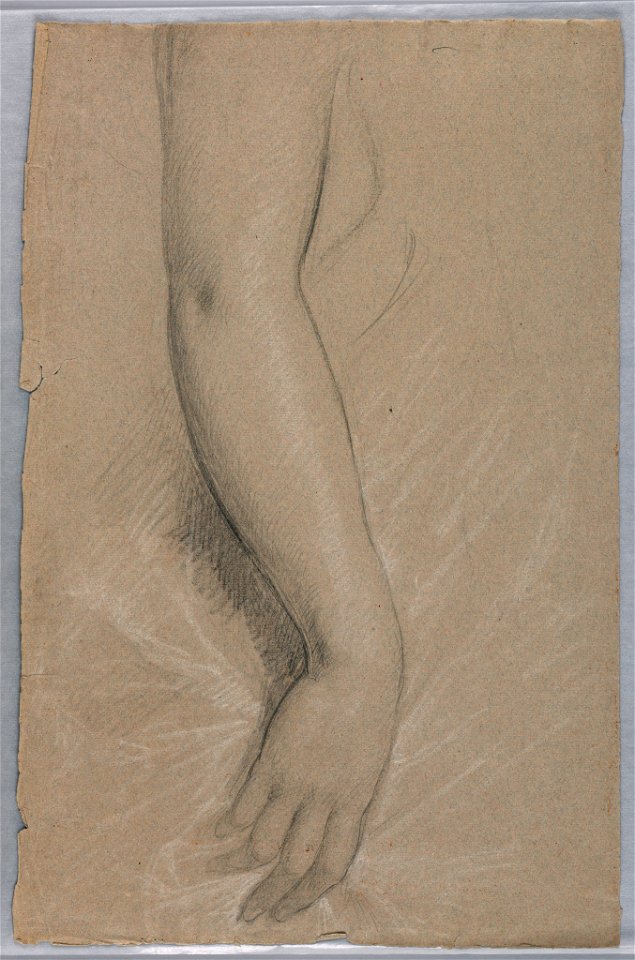 Drawing, Mrs. Rutherford B Hayes,, 1880 (CH 18566787)