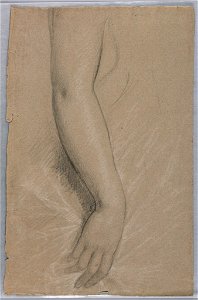 Drawing, Mrs. Rutherford B Hayes,, 1880 (CH 18566787)