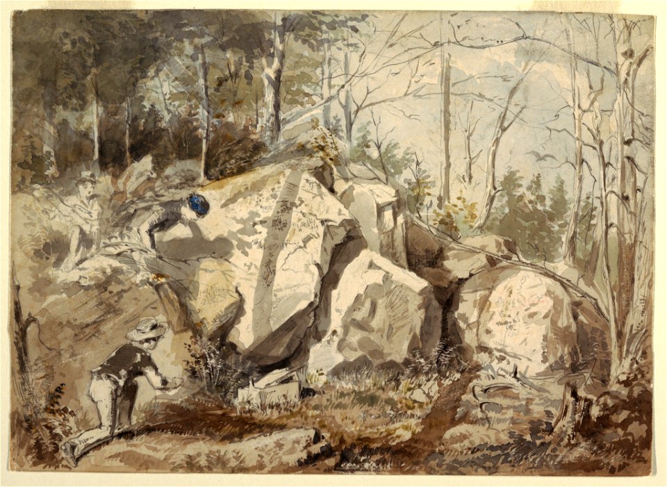 Drawing, Setting a Squirrel Trap, ca. 1855 (CH 18174841)