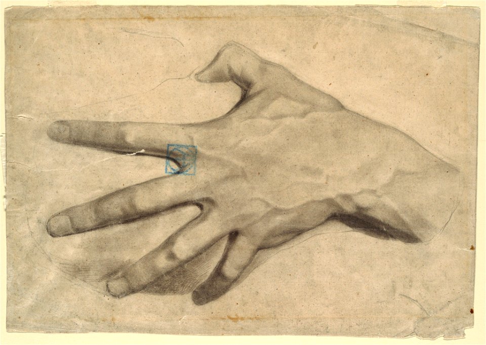 Drawing, Study of a Hand, 1881–92 (CH 18439667-2)