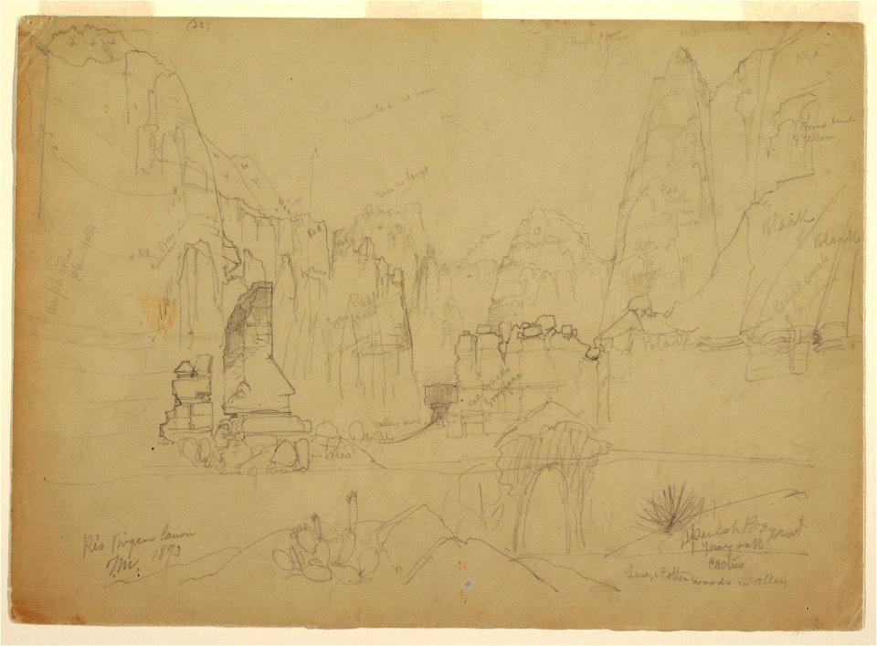 Drawing, The Canyon of the Rio Virgin, South Utah, 1873 (CH 18189553)