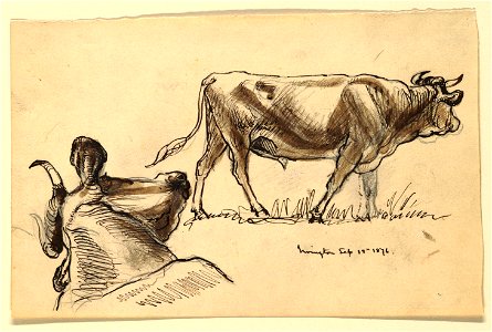 Drawing, Sketches. Cattle, Irvington, September 1876 (CH 18369023)