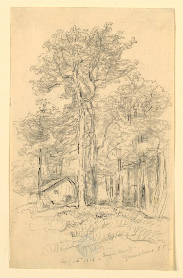 Drawing, Sketches. Sugar Camp, Greensboro, VT., August 26, 1916 (CH 18368911)