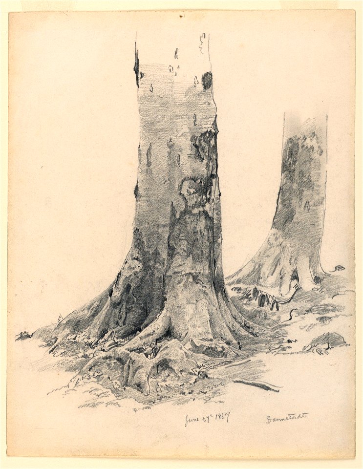 Drawing, Tree Trunks, Darmstadt, June 27, 1867 (CH 18396261)