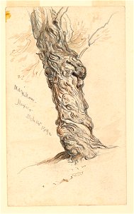 Drawing, Studies. Trees, March 14, 1892 (CH 18368999)