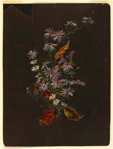 Drawing, Study- Autumn Bouquet, ca. 1890 (CH 18345045-2)
