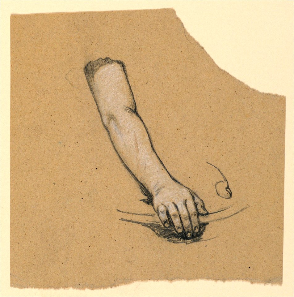 Drawing, study of hand to mid bicep, ca. 1890 (CH 18404495)