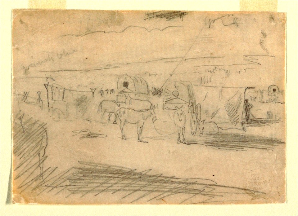 Drawing, Train of Army Wagons, 1862 (CH 18173949)