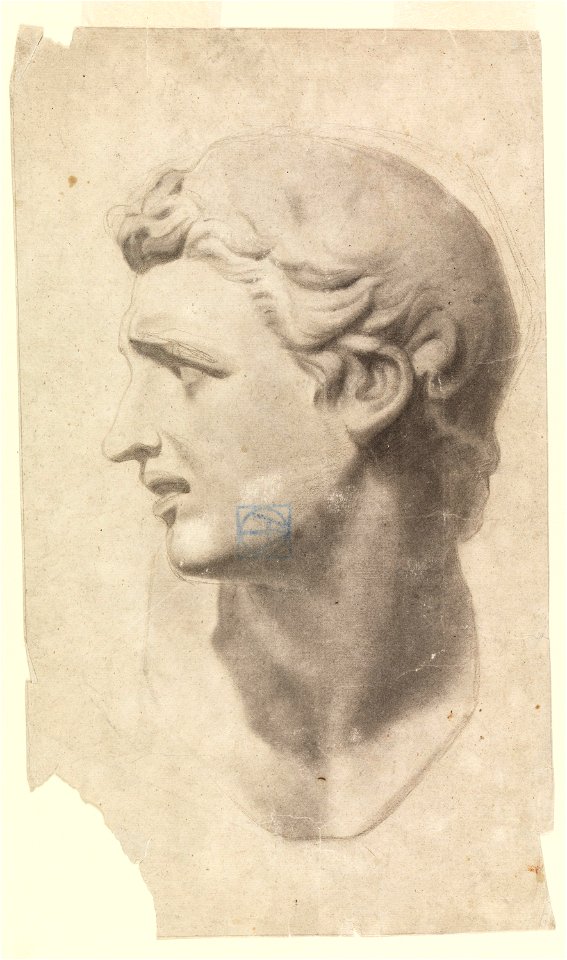 Drawing, Study of a Classical Male Head (from a plaster cast), 1881–92 (CH 18439669)