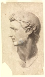 Drawing, Study of a Classical Male Head (from a plaster cast), 1881–92 (CH 18439669)