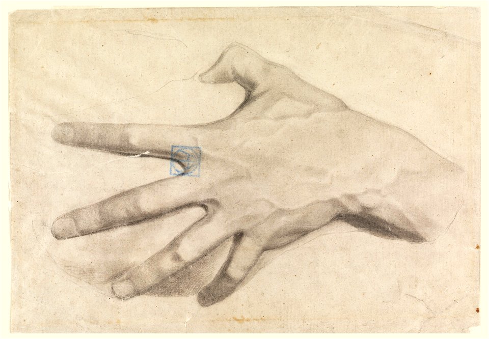 Drawing, Study of a Hand, 1881–92 (CH 18439667)