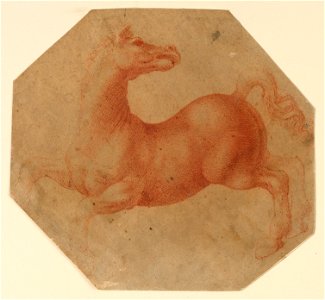 Drawing, Study of a Rearing Horse after Leonardo da Vinci, ca. 1520–25 (CH 18351271)
