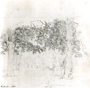 Dresdner Parklandschaft